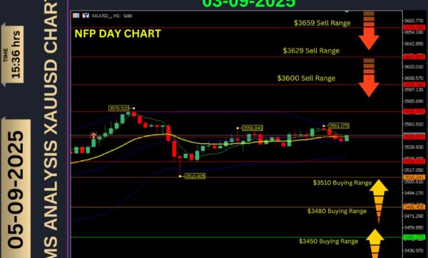 NFP Day Gold Analysis