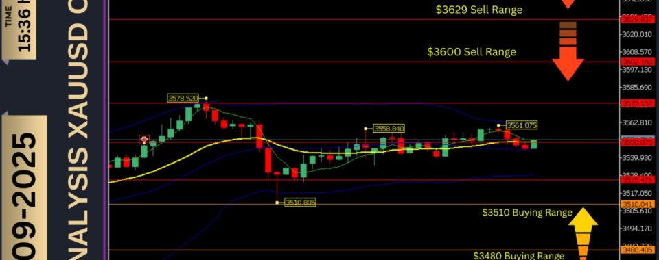 NFP Day Gold Analysis